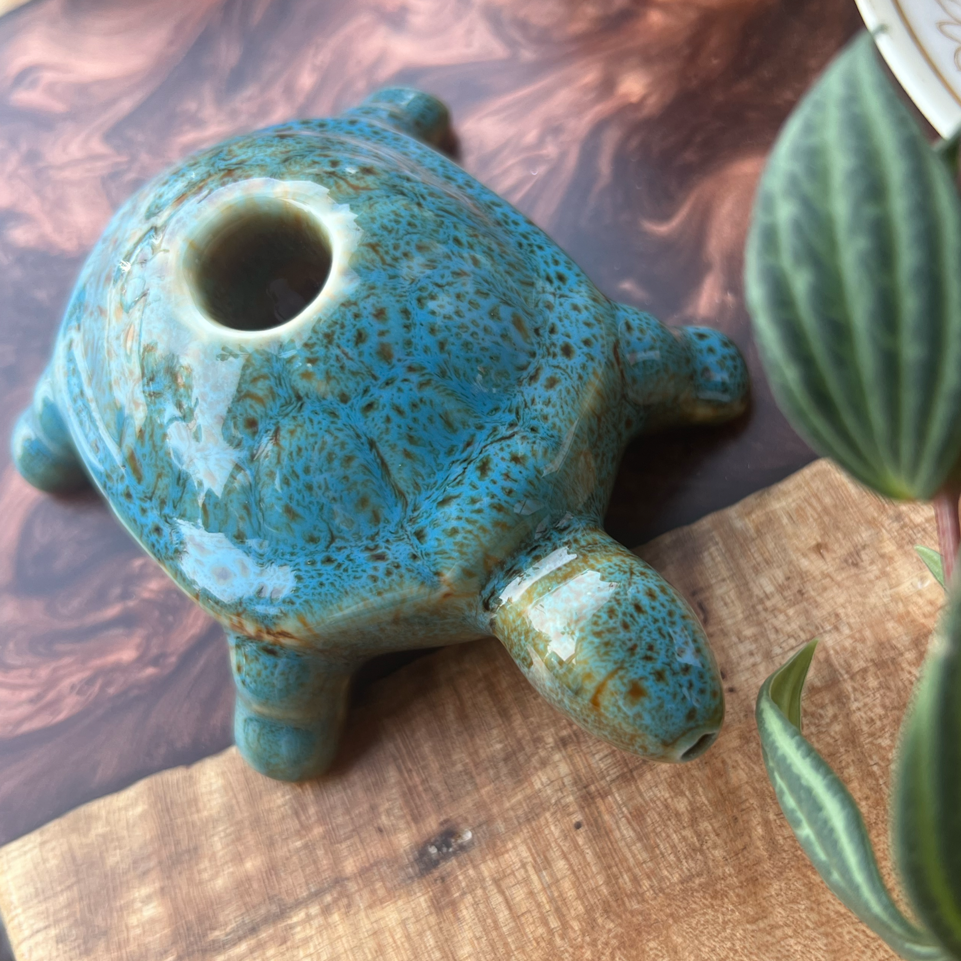 Turtle Hand Pipe Bundle - SensiBox