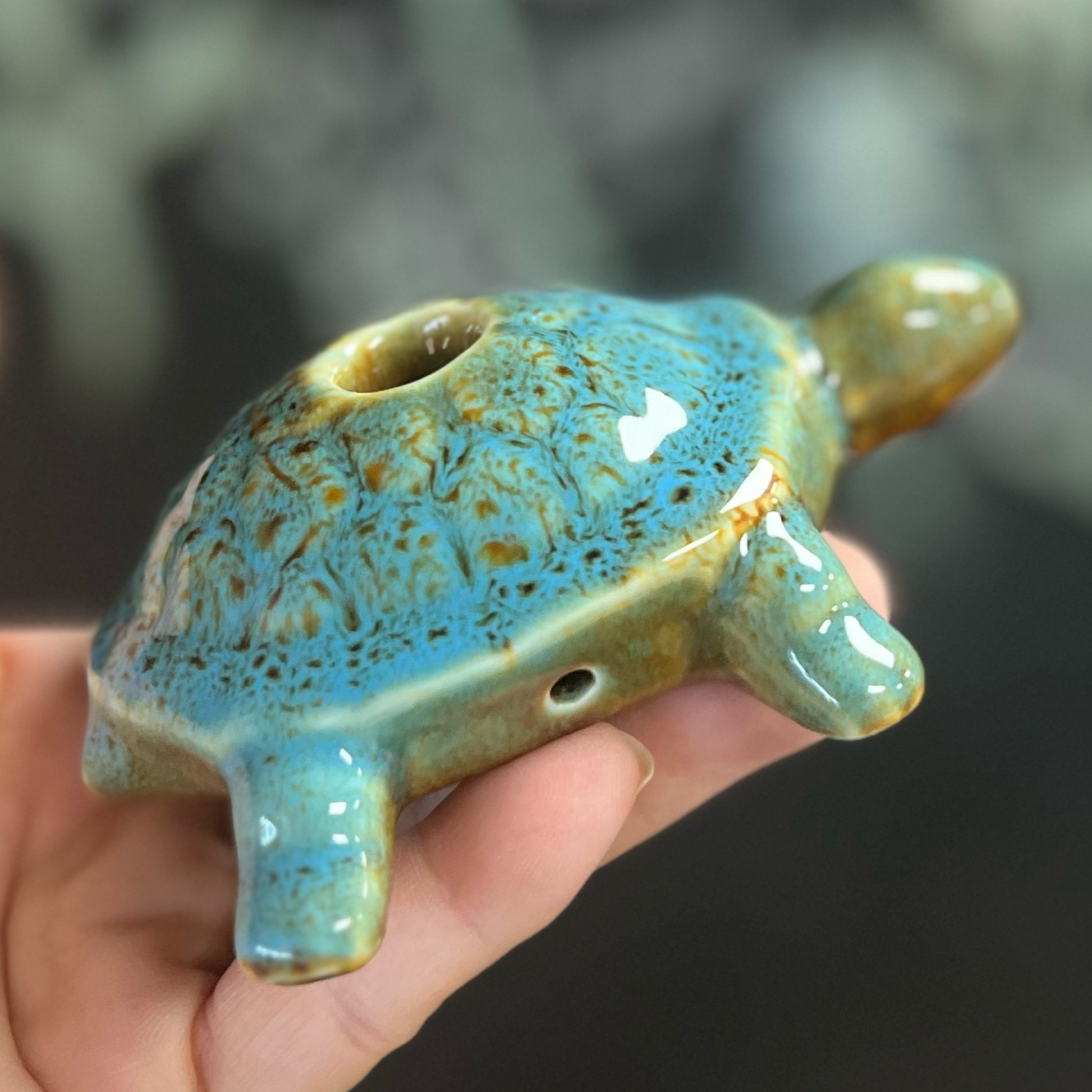 Turtle Hand Pipe Bundle - SensiBox